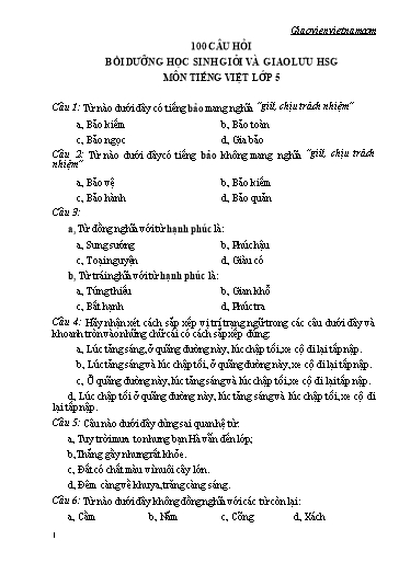 100 Câu hỏi ôn thi Học sinh giỏi môn Tiếng Việt Lớp 5