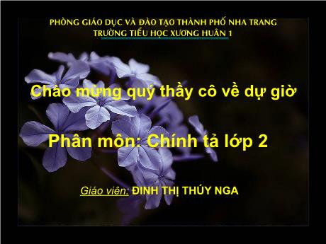 Bài giảng môn Tiếng Việt Lớp 2 - Chính tả: Mẩu giấy vụn (Tập chép) - Năm 2012 - Định Thị Thúy Nga