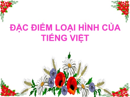 Bài giảng Ngữ văn Lớp 11 - Đặc điểm loại hình của Tiếng Việt