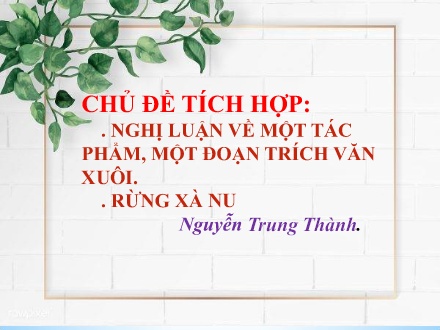 Bài giảng Ngữ văn Lớp 12 - Chủ đề tích hợp: Nghị luận về một số tác phẩm, một đoạn trích văn xuôi & Rừng xà nu
