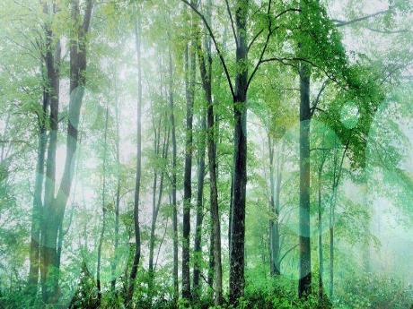 Bài giảng phân môn Tập làm văn Lớp 2 - Tiết 10: Kể về người thân - Phạm Thị Duy Lan