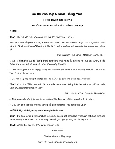 Đề thi tuyển sinh vào lớp 6 môn Tiếng Việt - Trường THCS Nguyễn Tất Thành - Hà Nội